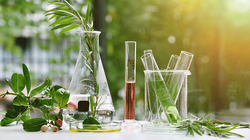 The Science 9 Natural drug research