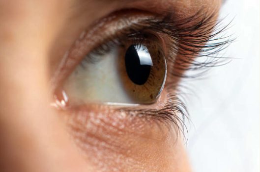 lash growth